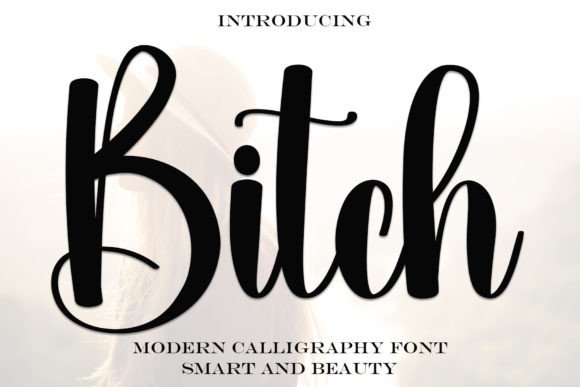 Bitch: A Handwritten Font for Campaigns That Need Personality