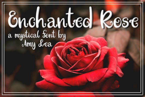 Enchanted Rose: A Designer’s Hands-On Review