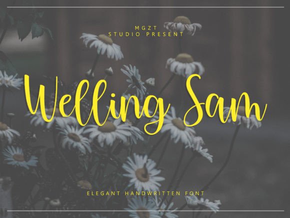 Welling Sam: An Elegant Script Font for Modern Branding